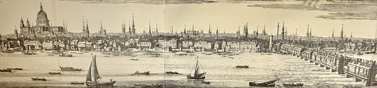 The Life of Jeremy Dodo